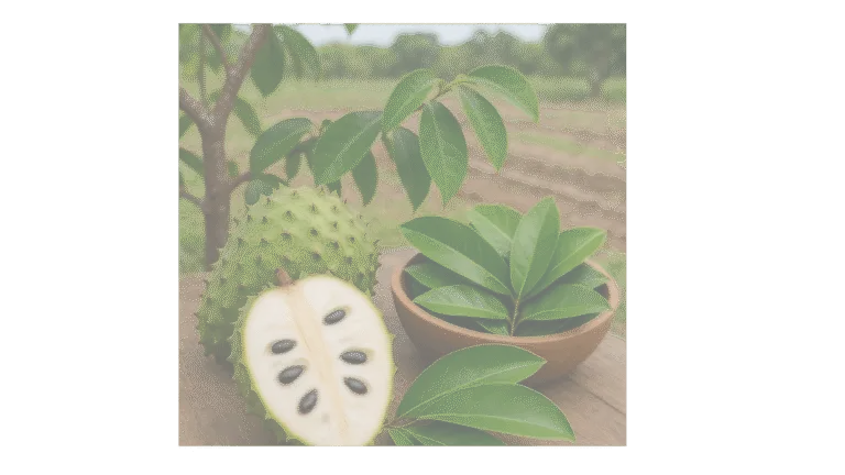 propiedades de las hojas de guanabana